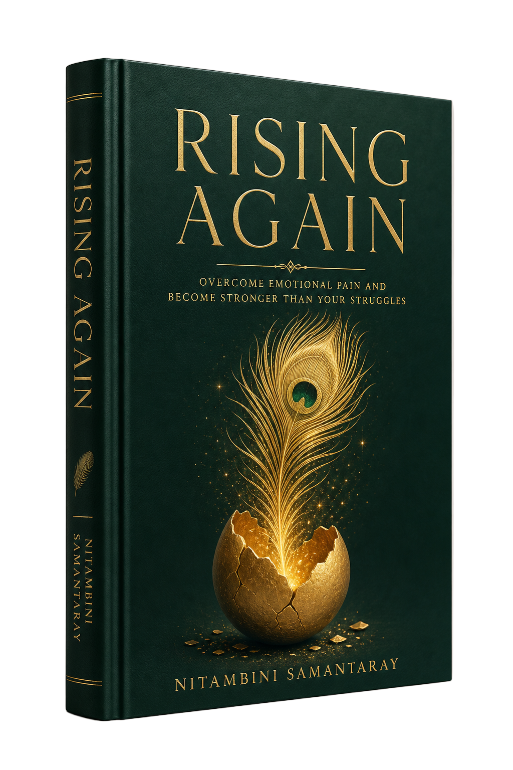 RISE AGAIN book by Nitambini Samantaray